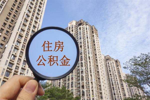 焦作全国住房公积金缴纳人数（焦作2020公积金人数）